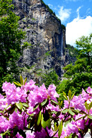 Staubach falls and flowers, Lauterbrunnen